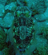 P8250016