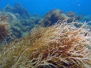 P8270087