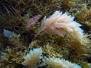 P8270088