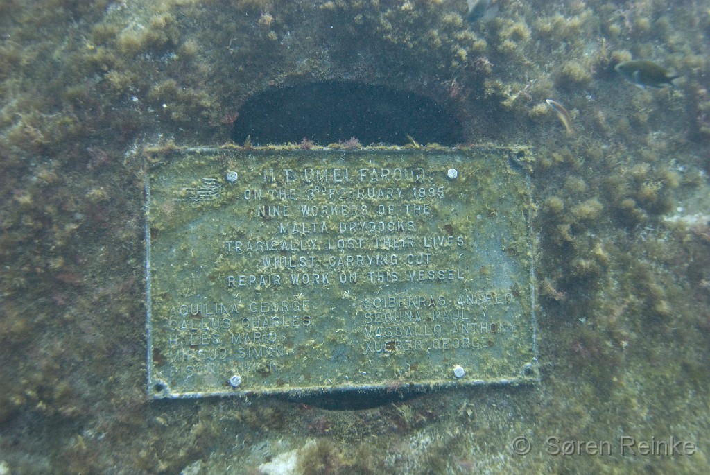 DSC_4709.jpg - The Plate at Umm El Faroud describing the accident