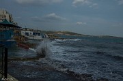 _DSC8260