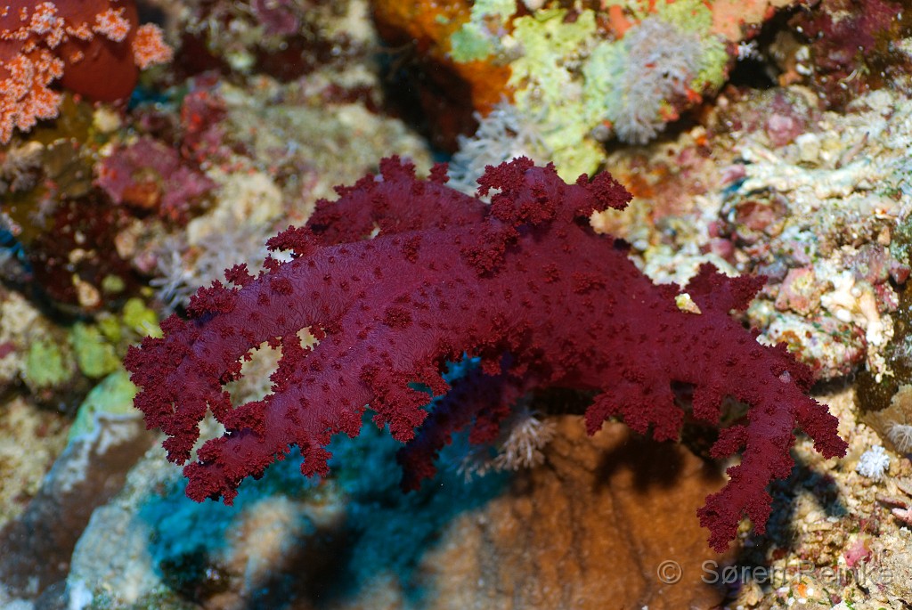 DSC_1178.jpg