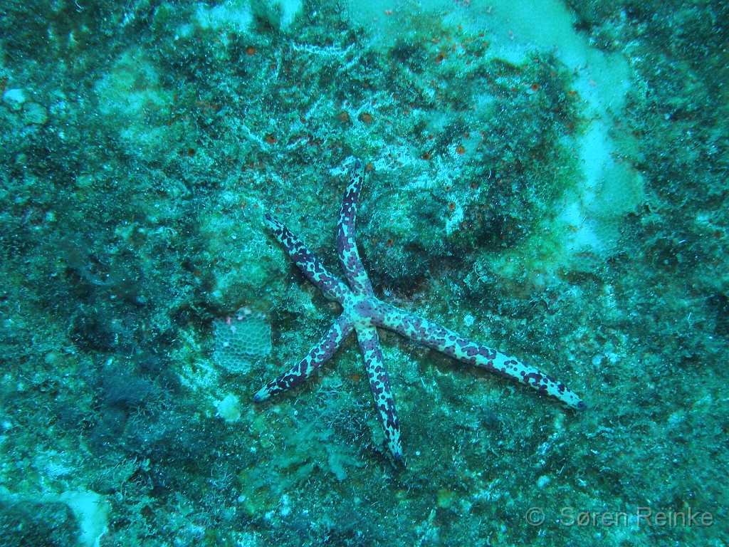 P5160024.JPG