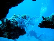 IMG_4246
