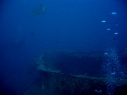 IMG_4491