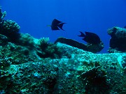IMG_4505