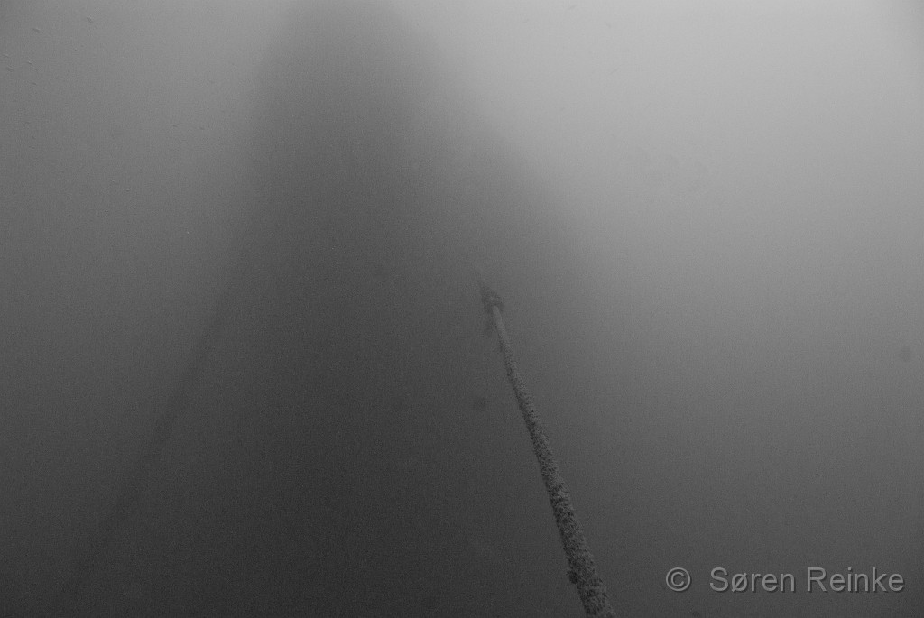 DSC_0779.jpg