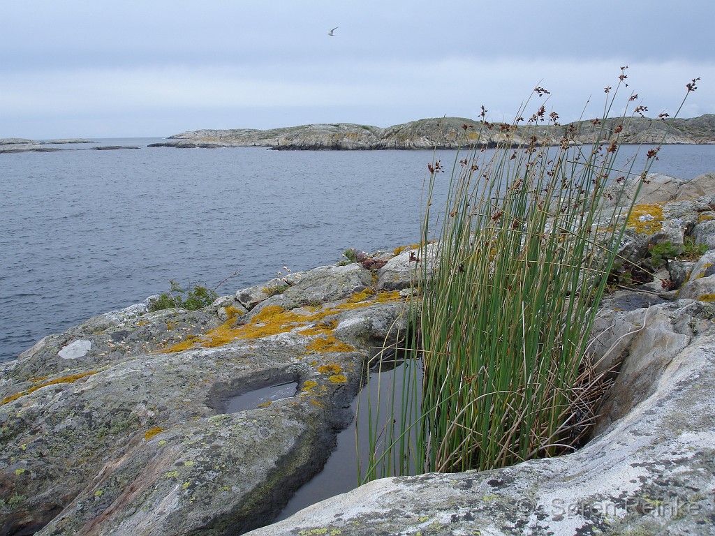 Hamborgsund 29juni til 1 juli 2007 (27).JPG