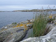 Hamborgsund 29juni til 1 juli 2007 (27)